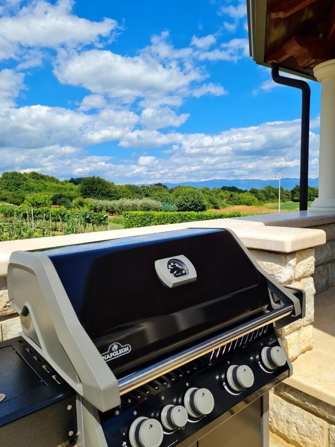 Holiday Apartment Villa Bianca Pazin Exteriér fotografie
