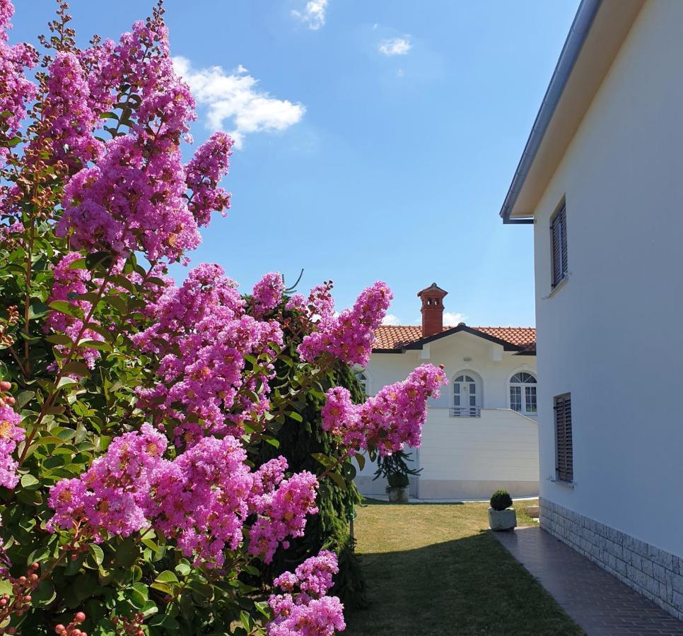 Holiday Apartment Villa Bianca Pazin Exteriér fotografie